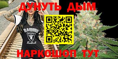 скорость Новозыбков