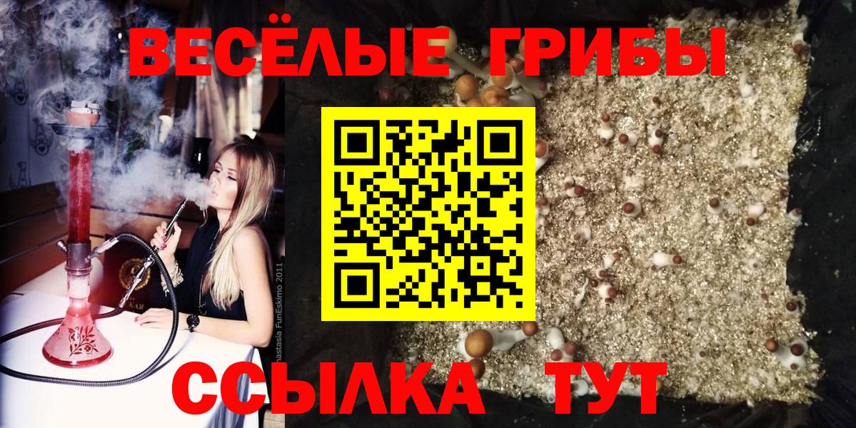 как найти наркотики  Вход с VPN  Урюпинск  Галлюциногенные грибы мицелий 