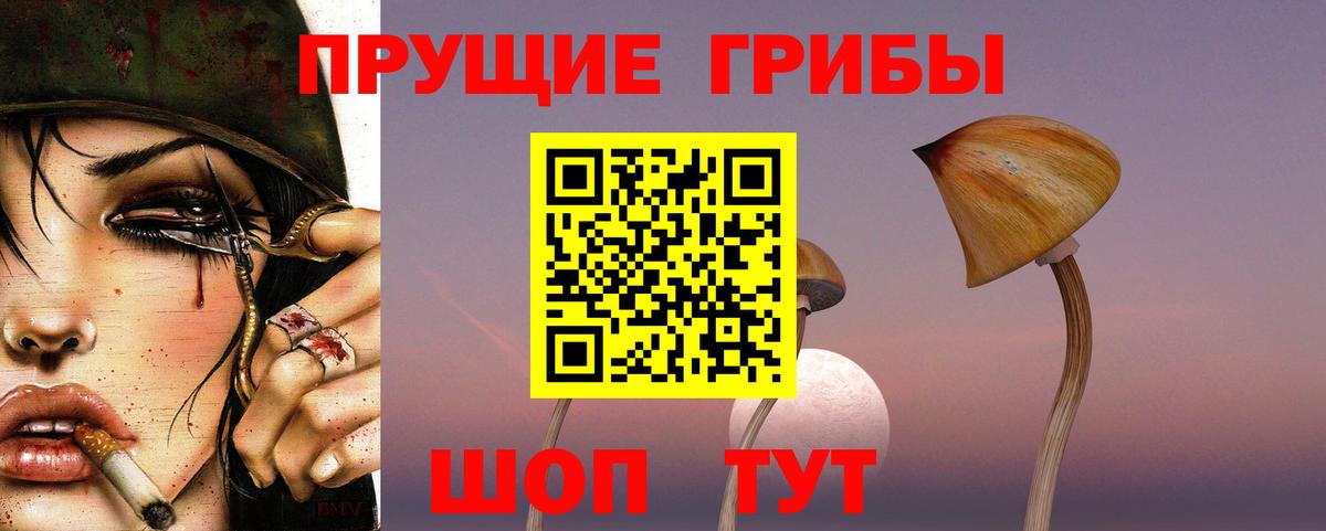 Галлюциногенные грибы Cubensis Урюпинск